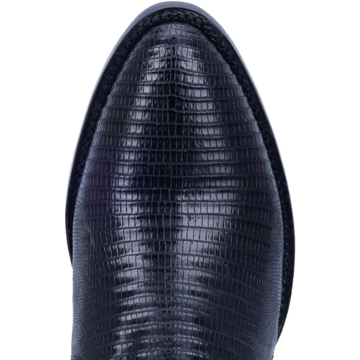 Dan Post Men’s Winston Lizard Boot DP3050R