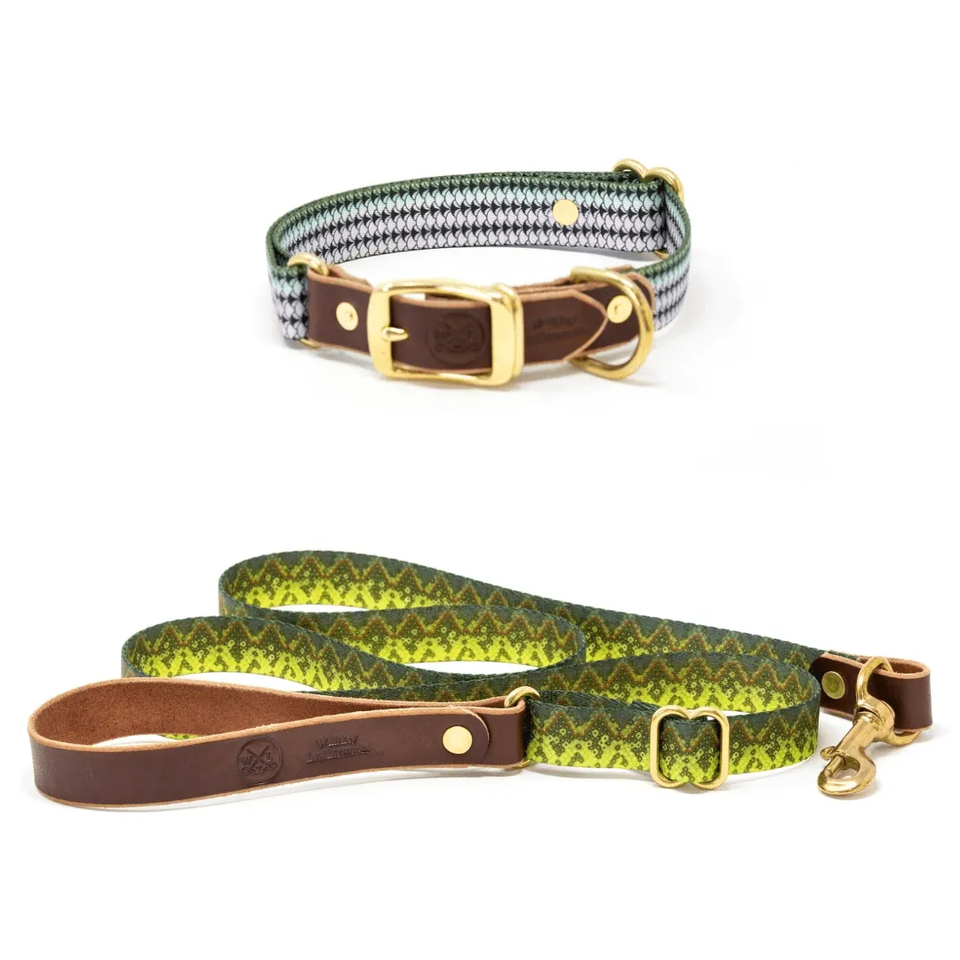 Fish Dog Bundle