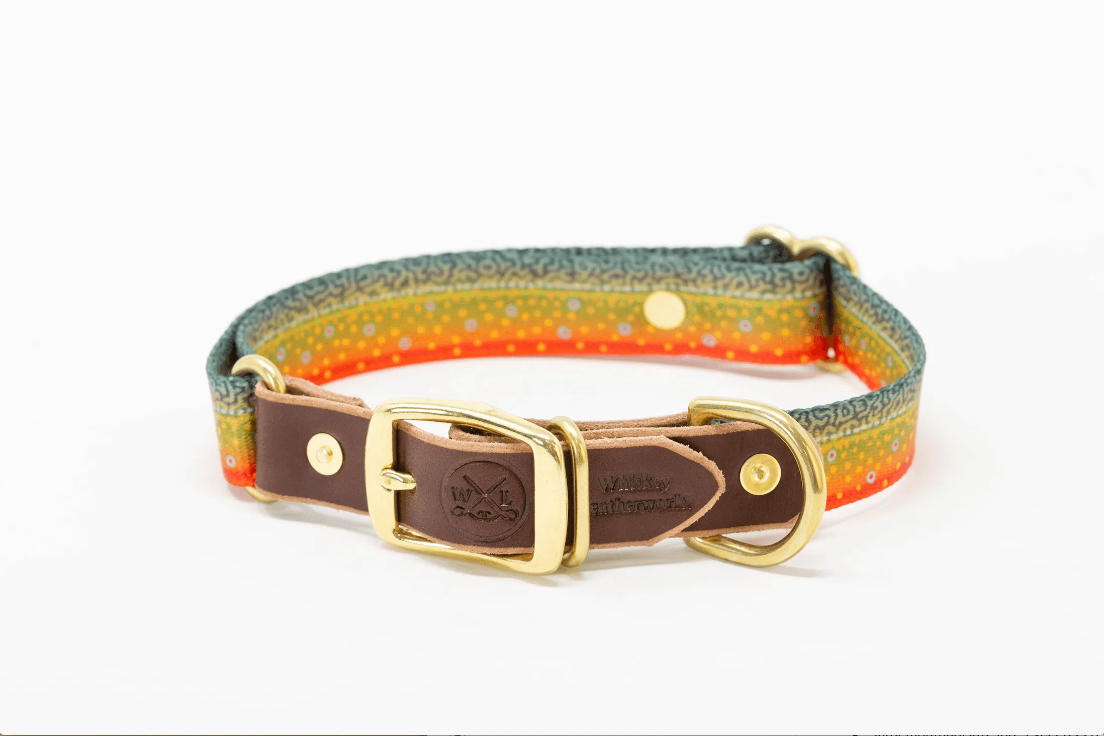Fish Dog Bundle