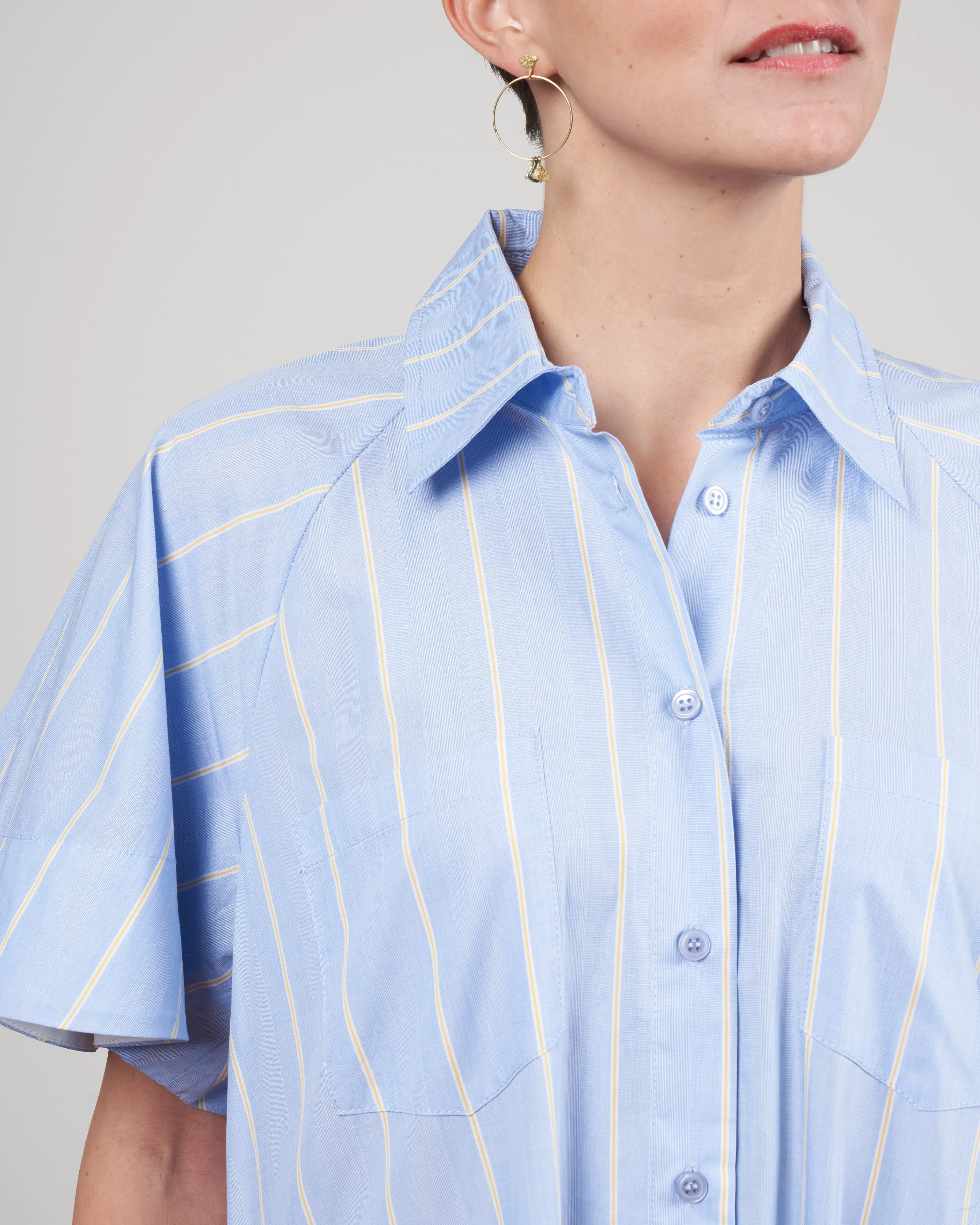 jerry dress - chambray lemon