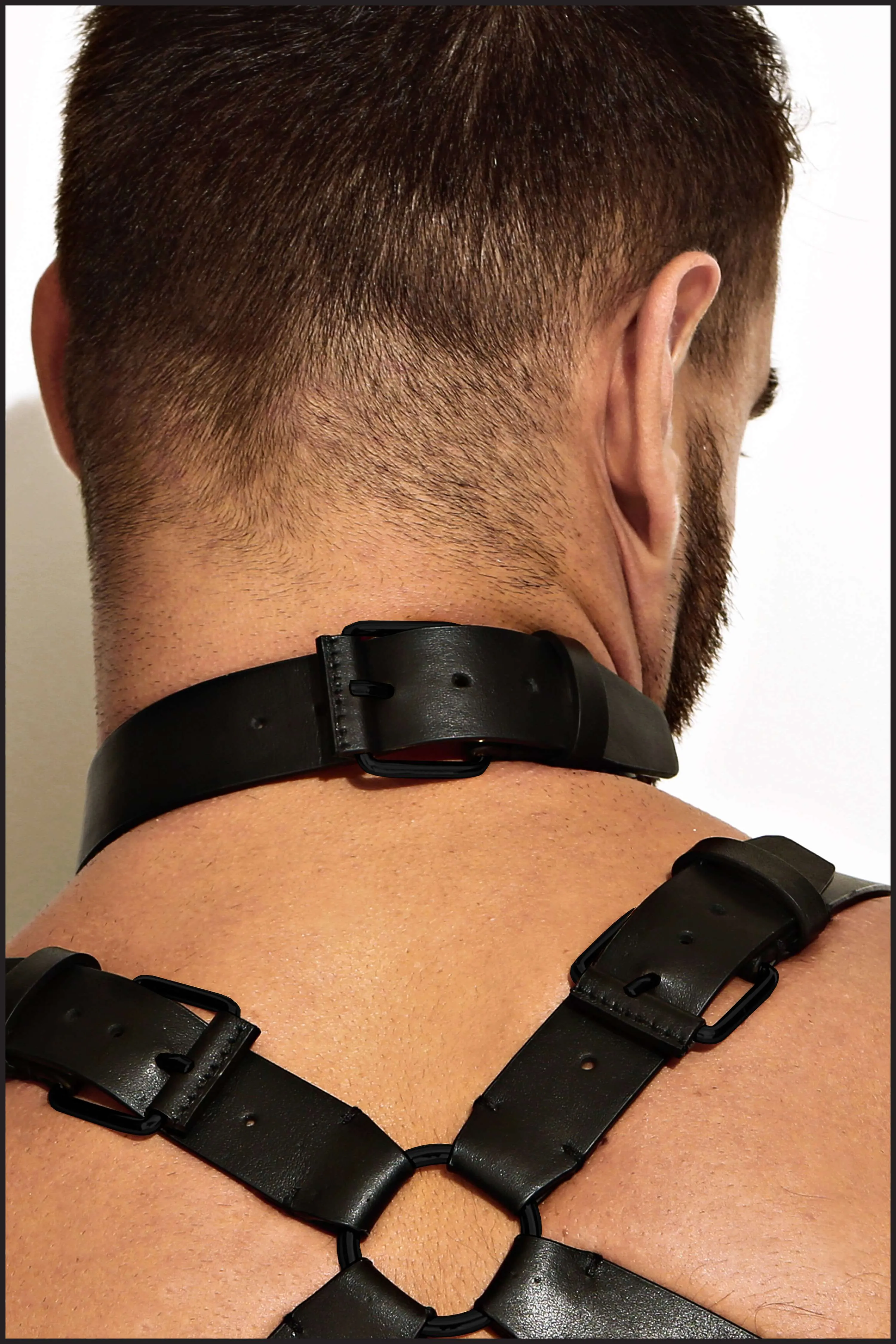 Leather Neck Harness