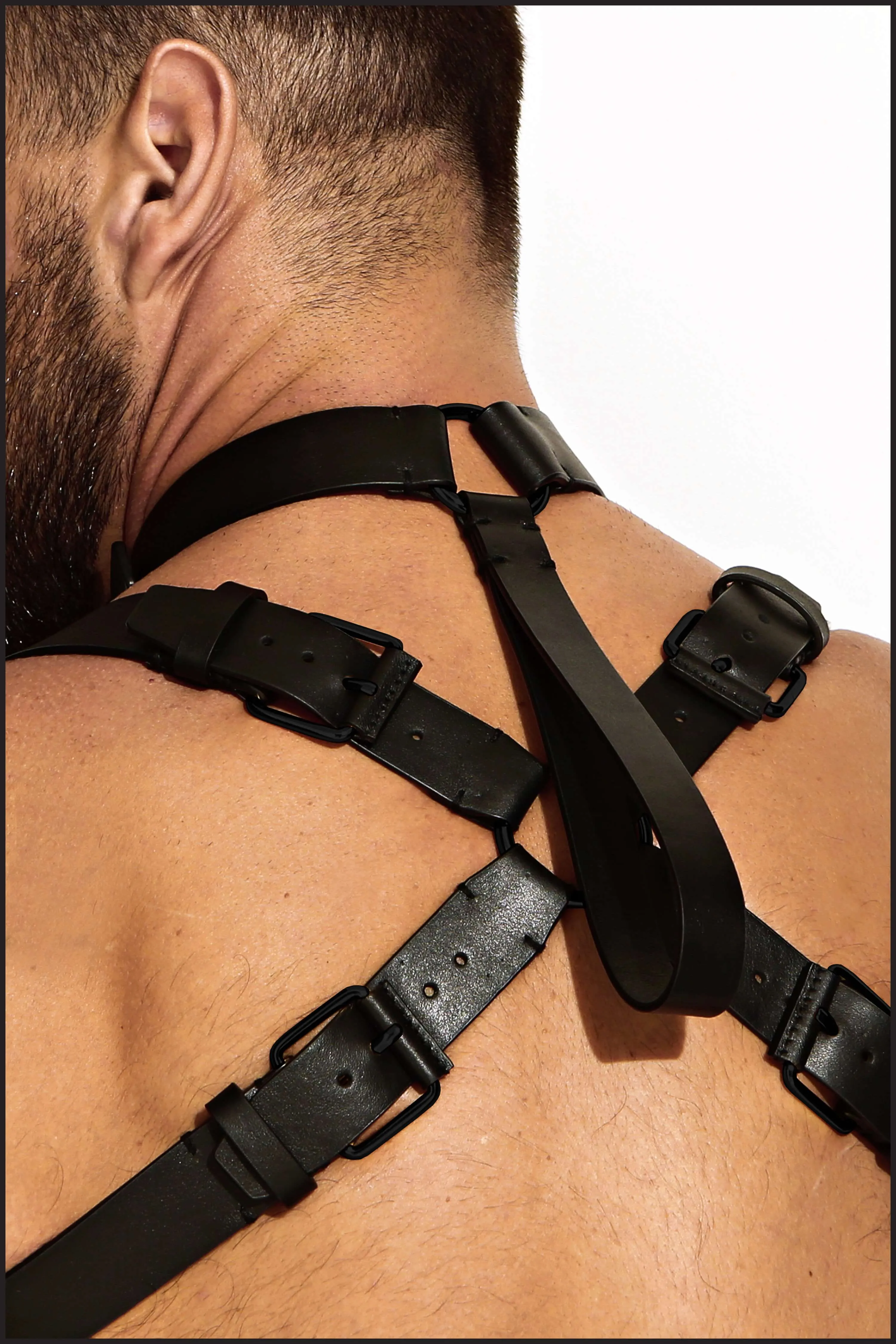 Leather Neck Harness