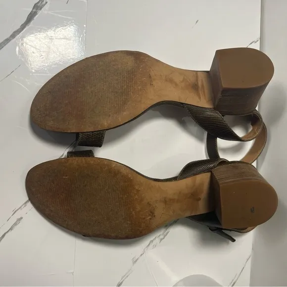 Madewell Women’s Alice Ankle Strap Mid Heel Open Toe Sandal Heel Python Size 8.5