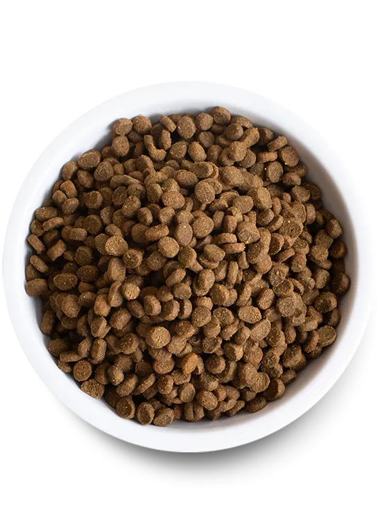 Open Farm Catch-of-the-Season Whitefish Dry Cat Food