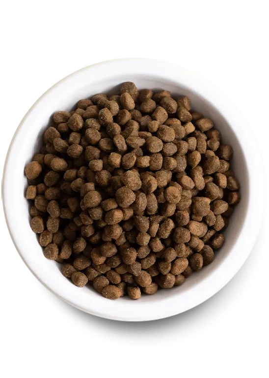 Open Farm Wild-Caught Salmon & Ancient Grains Dry Dog Food