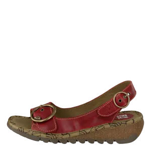 Tram Red