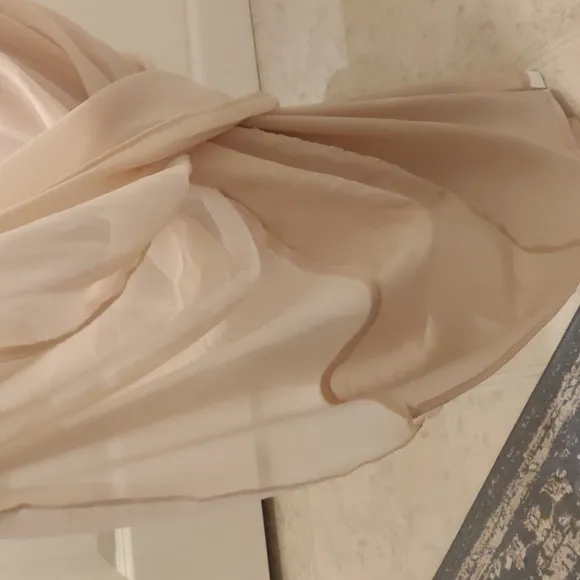 WAYF The Wesley Cowl Neck Chiffon Gown in Champagne sz Small