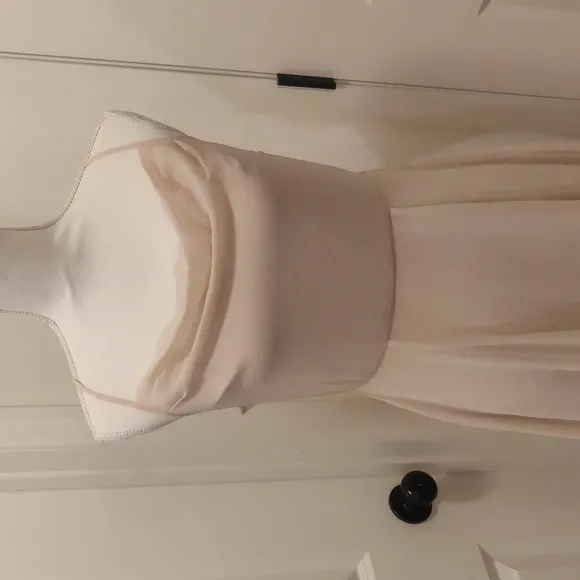 WAYF The Wesley Cowl Neck Chiffon Gown in Champagne sz Small
