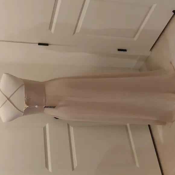 WAYF The Wesley Cowl Neck Chiffon Gown in Champagne sz Small