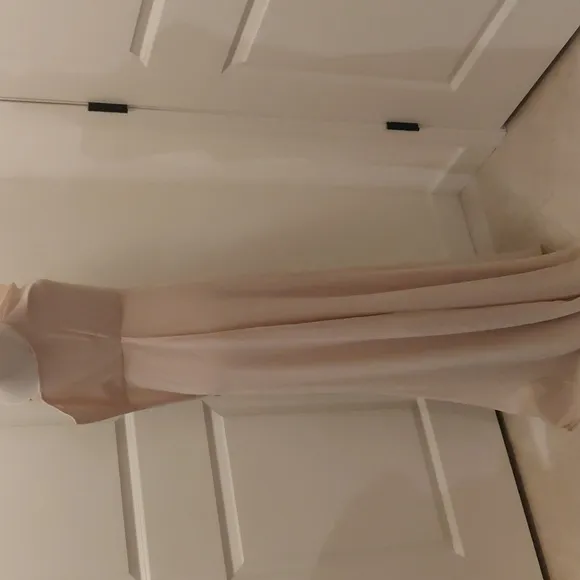 WAYF The Wesley Cowl Neck Chiffon Gown in Champagne sz Small