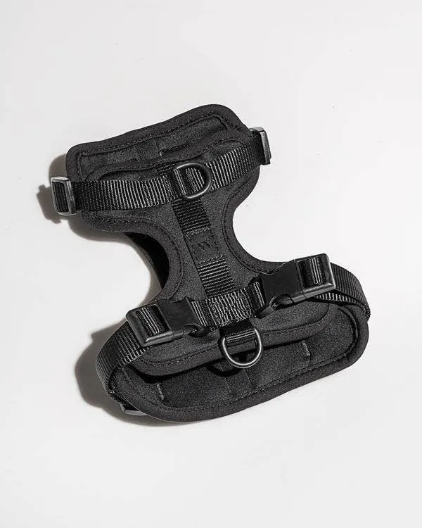 Wild One - Black Harness