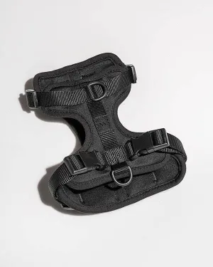 Wild One - Black Harness